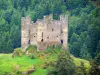 Château d'Alleuze - Vestiges du château fort médiéval entourés de verdure, dans les gorges de la Truyère