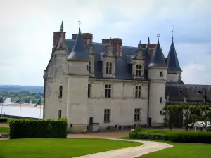 Château d'Amboise - Royal castle, path lined with lawns and flags