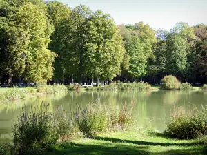 Château d'Ancy-le-Franc - Parc du château : étang bordé d'arbres