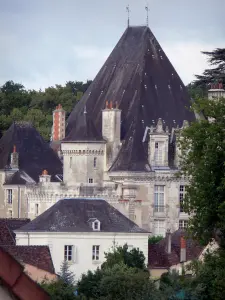 Château d'Azay-le-Ferron - Fachada de las casas del castillo y el pueblo, en el Parque Natural Regional de la Brenne