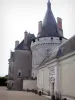 Château d'Azay-le-Ferron - Tour à mâchicoulis et façade du château