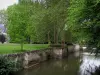 Château d'Azay-le-Rideau - Parc du château : rivière (l'Indre), arbres et pelouse