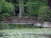 Château d'Azay-le-Rideau - Parc du château : rivière (l'Indre) avec des nénuphars, passerelle, arbustes et arbres