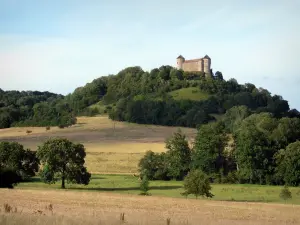 Château de Belvoir - Château surplombant champs et arbres