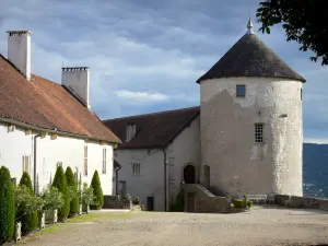 Château de Belvoir - Cour, bâtiments et donjon du château