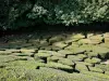 Château de Breteuil - Mosaïque de buis du jardin à la française