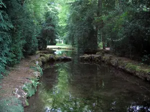 Château de Chantilly - Parc : arbres au bord de l'eau