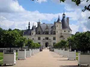 Château de Chenonceau - Path lined with orange trees in jars leading to the Marques tower (keep) and to the Renaissance château (Dame castle), clouds in the blue sky