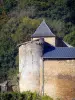 Château de Cons-la-Grandville - Vieilles pierres du château