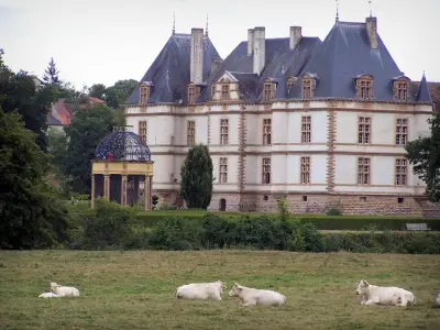 Château de Cormatin