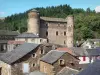 Château de Coupiac - Vue sur le château et les maisons du village de Coupiac