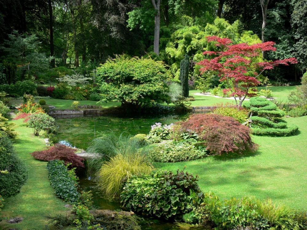ChÃƒÂ¢teau de Courances - Plants of the Japanese garden