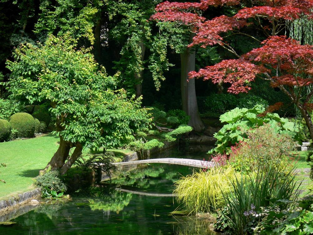 ChÃƒÂ¢teau de Courances - Japanese garden and its plants along the water