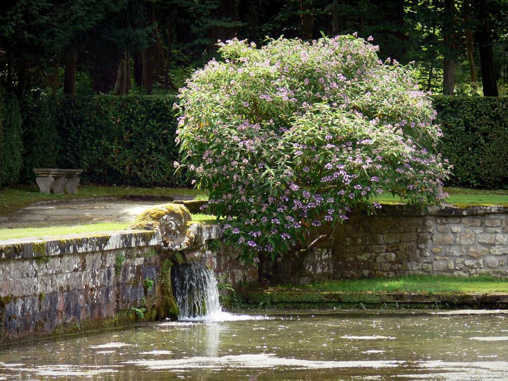 ChÃƒÂ¢teau de Courances - Part of the chÃƒÂ¢teau: Gueulard fountain and blooming bushes