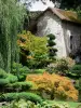 Château de Courances - Moulin et végétaux du jardin japonais
