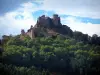 Château de Couzan - Ruines (vestiges) de la forteresse médiévale ; à Sail-sous-Couzan