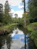 Château de Dampierre - Pièce d'eau entourée d'arbres