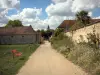 Château de Dampierre - Promenade dans le parc