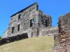 Château Dubuc - Vestiges de l'ancienne habitation sucrière, sur la presqu'île de la Caravelle