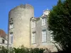 Château de Duras - Tower and facade of the château, tree in foreground