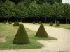 Château d'Écouen - Musée national de la Renaissance - Parc du château avec ses arbustes taillés, ses pelouses, ses allées et ses arbres