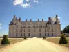 Château d'Écouen - Musée national de la Renaissance - Vue sur le château depuis le parc