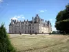 Château d'Écouen - Musée national de la Renaissance - Vue sur le château Renaissance depuis le parc