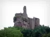 Château de Fleckenstein - Ruines du château entourées d'arbres