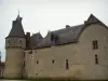 Château de Fougères-sur-Bièvre - Château fort