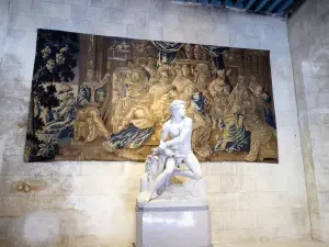 Château de Grignan - Intérieur du château : statue et tapisserie du vestibule