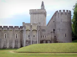 Château-Guillaume - Keep, tower and walls of the medieval fortress; in the town of Lignac, in the Allemette valley, in La Brenne Regional Nature Park