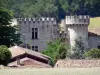 Château de Guilleragues - Château médiéval entouré d'arbres