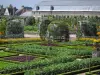 Château et jardins de Villandry - Jardin potager (légumes et fleurs) avec ses tonnelles