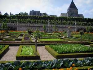 Château et jardins de Villandry - Fleurs et légumes du jardin potager avec vue sur l'église et les maisons du village