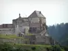 Château de Joux - Forteresse (fort) abritant un musée d'armes anciennes, à La Cluse-et-Mijoux