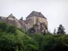 Château de Joux - Forteresse (fort) abritant un musée d'armes anciennes et arbres, à La Cluse-et-Mijoux