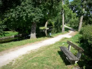 Château-Landon - Bench in foreground, walk along the river and trees lining the water