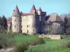 Château de Lespinasse - Château fort médiéval entouré de verdure, sur la commune de Saint-Beauzire