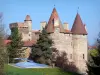 Château de Lespinasse - Forteresse médiévale entourée d'arbres