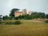 Château de Magrin - Pays de Cocagne : champ de tournesols, arbres et château abritant le musée du Pastel