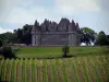 Château de Monbazillac - Château, arbres et vignes (vignoble de Bergerac)