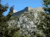 Château de Montségur - Citadelle cathare (vestiges, ruines de la forteresse) et son piton rocheux (pog) ; arbres en premier plan