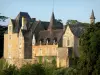 Château et moulin de Thévalles - Chapelle et façades du château de Thévalles ; sur la commune de Chémeré-le-Roi