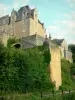Château et moulin de Thévalles - En contrebas du château de Thévalles ; sur la commune de Chémeré-le-Roi