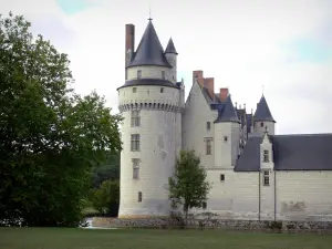 Château du Plessis-Bourré - Château, moats, lawn and trees, in Ecuillé