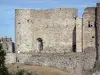Château de Portes - Forteresse médiévale ; dans les Cévennes
