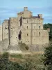 Château de Portes - Forteresse médiévale et son bastion Renaissance ; dans les Cévennes