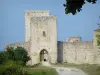 Le château de Puivert - Guide tourisme, vacances & week-end dans l'Aude