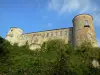 Château de Ravel - Tours et façade de la forteresse royale