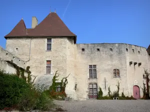 Château de la Roche - Façade du château féodal et sa cour ; sur la commune de Chaptuzat